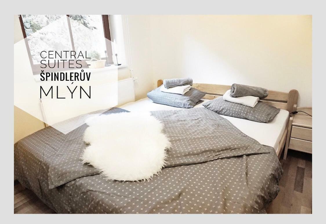 Central Suites - Špindlerŭv Mlýn Dış mekan fotoğraf